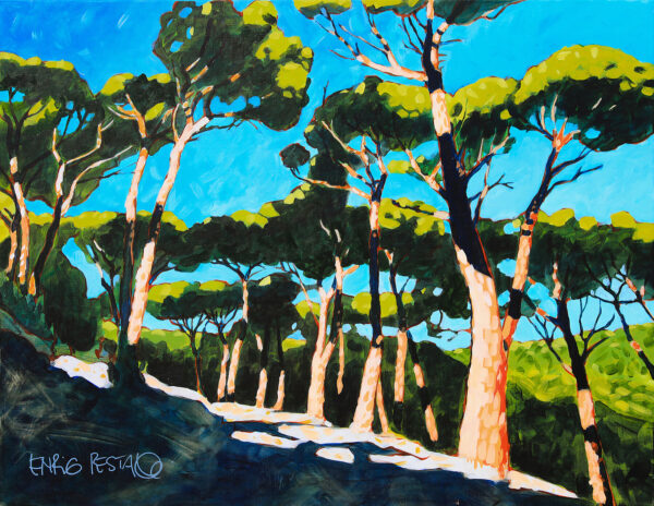 Pineta delle Grotte