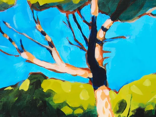 pineta-delle-grotte-branches