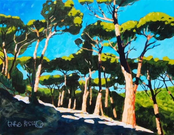 pineta-delle-grotte